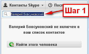 skype1a